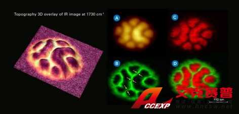 Chemical characterization of PS-co-PMMA block co-polymer