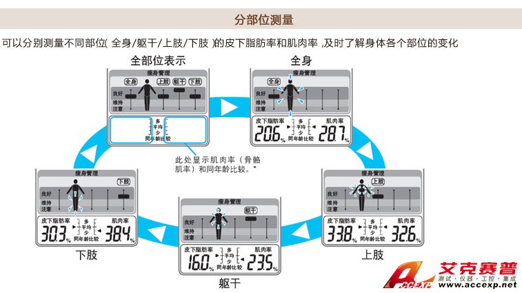 分布位测量