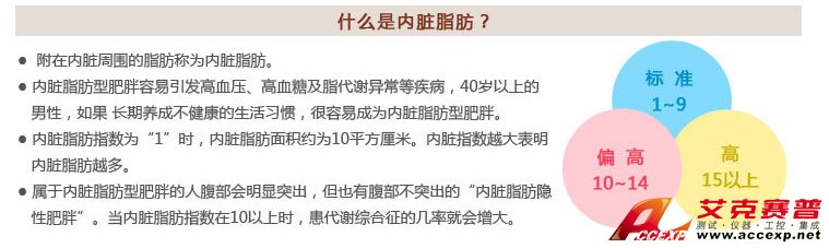 什么是内脏脂肪及内脏脂肪型肥胖