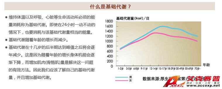 了解基础代谢