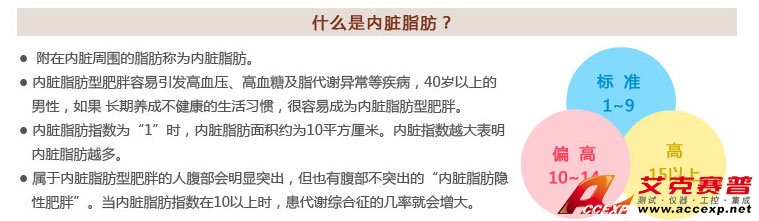 什么是内脏脂肪及内脏脂肪型肥胖