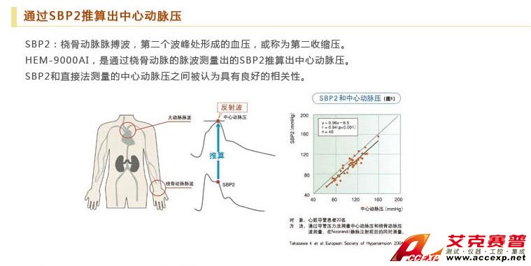 通过SBP2推算出中心动脉压