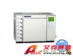 鲁南瑞虹 SP-9890型 气相色谱仪 图片